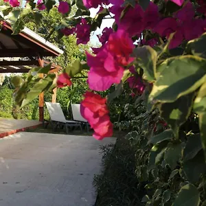  Hébergement de vacances Kalypso - Les Kikko